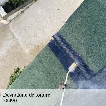 Devis fuite de toiture